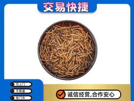 怀化麻阳县回收散虫草